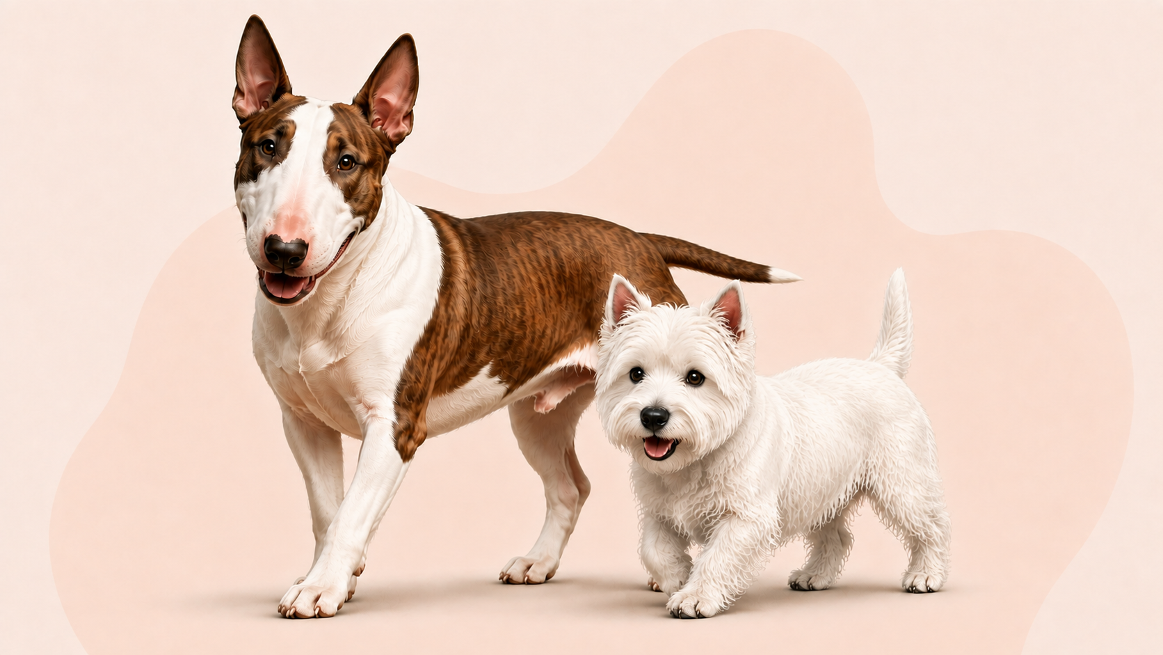 Grupp 3: Terrier